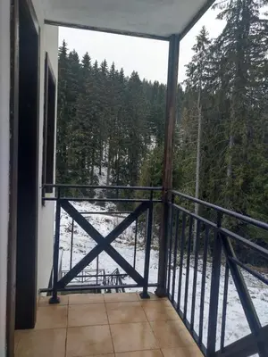 a balcony with a view of a snow covered forest at Pamporovo Apartment The Castle in Pamporovo