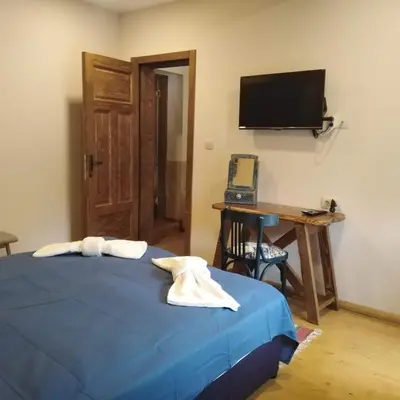 a bedroom with a bed and a desk and a television at Villa Boro in Beli Iskar