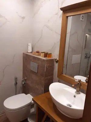 a bathroom with a sink and a toilet and a mirror at Лукс апартамент in Bansko