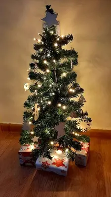 a christmas tree sitting in a gift box at Apartments KaVi , Monastery 1 & 3, Grand Monastery,Pamporovo in Pamporovo