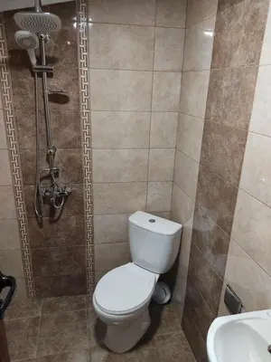 a bathroom with a toilet and a sink at Тороманова къща in Koprivshtitsa