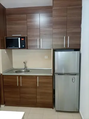 a kitchen with a stainless steel refrigerator and a microwave at Belvedere Holiday Club 101 in Bansko