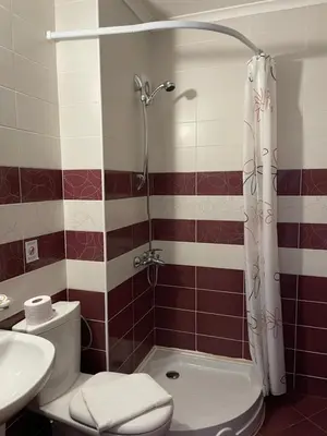 a bathroom with a shower and a toilet and a sink at Гранд Манастира Частен Апартамент in Pamporovo