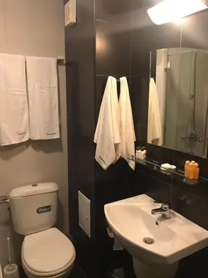 a bathroom with a toilet and a sink and a mirror at Pamporovo Central Apartments in Pamporovo