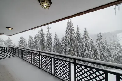 a balcony with a view of a snow covered forest at Colors of Nature in Stylish Flat in Pamporovo by Flat Mаnager in Pamporovo