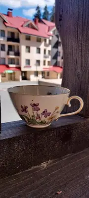 a bowl sitting on top of a wooden pole at BOGI SPA Apartment Pamporovo in Pamporovo