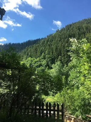 a fence in front of a mountain with trees at Yakusha - Якуша, къща за гости in Shiroka Lŭka
