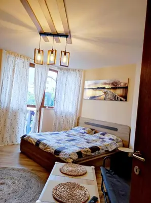 a bedroom with a bed and a window at vins studio in Bansko