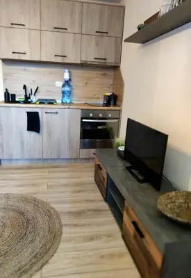 a kitchen with wooden cabinets and a flat screen tv at vins studio in Bansko