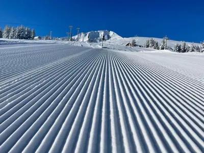 an empty snow covered field with trees in the background at Ground floor 2-bedrooms, 2-bathrooms apartment near Bansko in a complex with pools and SPA included in Razlog