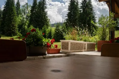a patio with potted plants and flowers at Hotel Niken in Pamporovo