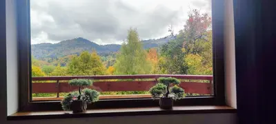 a window with three potted plants on a window sill at Neviasta Apartment in Smolyan