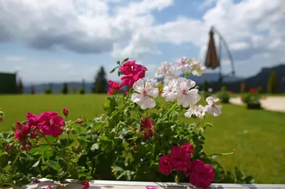 a bunch of pink and white flowers in a garden at Вила Релакс in Pamporovo