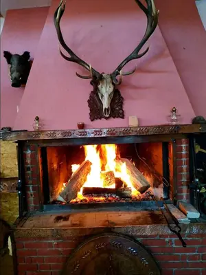 a fireplace with a deer head and a fire place at Kamena Pamporovo in Pamporovo