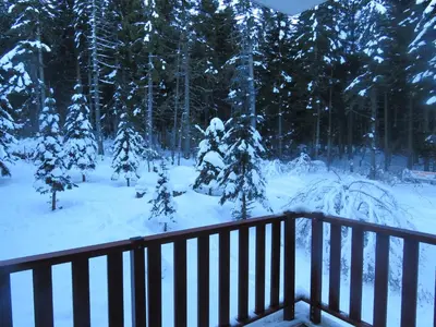 a snow covered yard with trees and a fence at Flora Violet Studio Apartment nr 10 in Borovets