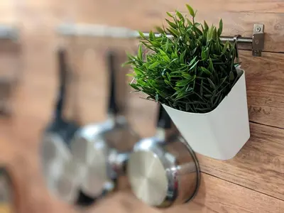 a plant in a white pot hanging on a wall at Top Center Vintage Sofia Condo in Sofia