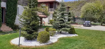 a house with a garden with trees in the yard at Villa Nikol Apt #1 in Raduil