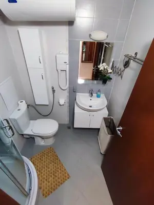 a small bathroom with a toilet and a sink at Belvedere Holiday Club К501 in Bansko