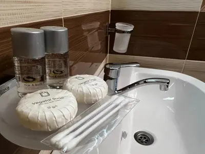 a bathroom sink with two rolls of toiletries on it at Hotel Central in Karlovo