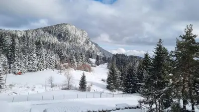 a snow covered mountain with trees and a fence at Smolyan Lakes Apartment / Апартамент Смолянски езера in Smolyan