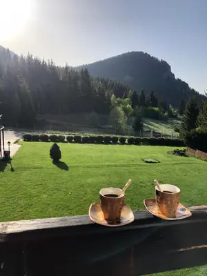 two cups of coffee sitting on a ledge with a field at Smolyan Lakes Apartment / Апартамент Смолянски езера in Smolyan
