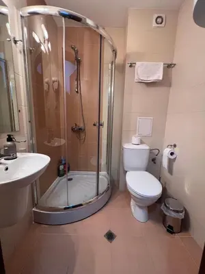 a bathroom with a shower and a toilet and a sink at Kalina Apartment's in Bansko in Bansko
