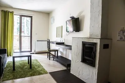 a living room with a fireplace and a television at RILA 6ATO Hotel & Restaurant in Panichishte