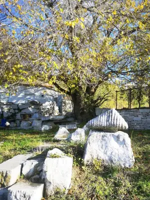 a group of rocks in front of a tree at VillaPo in Ilindentsi