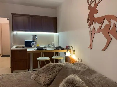 a bedroom with a bed and a kitchen with a desk at Bansko Ski To Door Studio De Luxe in Bansko