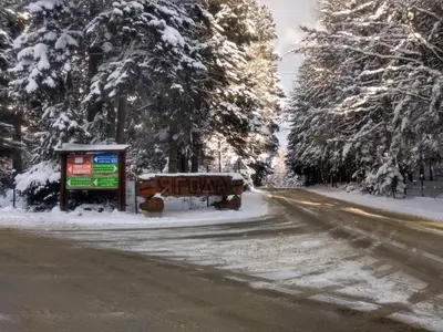 a bus on a snow covered road with trees at Kolimechkov Apartments Borovets in Borovets
