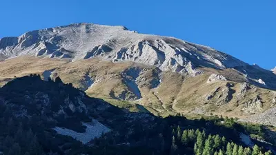 a mountain covered in snow and trees at 500м. от лифта Сладък дом в Белведере СПА комплекс in Bansko