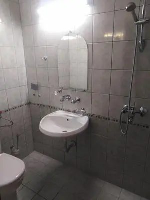 a bathroom with a sink and a mirror and a toilet at Вила Родопи in Dospat