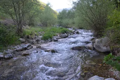 a stream of water with rocks and trees at Вила Даяна in Ribarica
