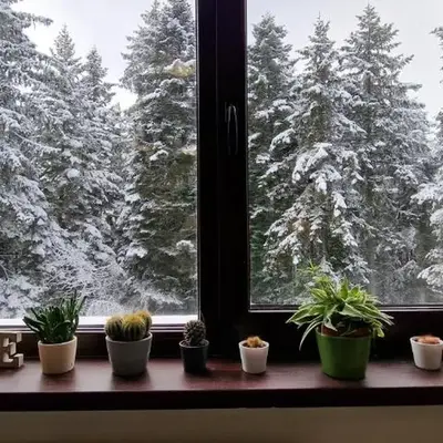 Pine Tree Apartment / Borovets Gardens