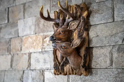 a wall decoration of two deer heads on a wall at House Proctor in Stoykite