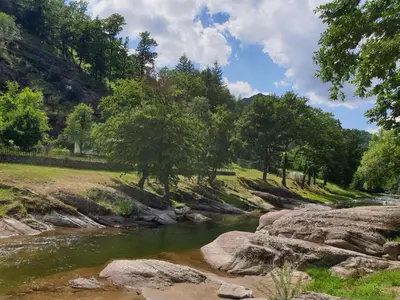 a river with rocks and trees in a field at Guest House Fedor in Ribarica