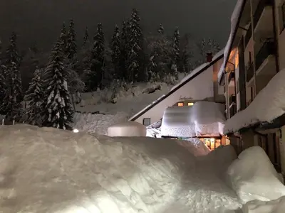a house covered in snow at night with trees at Deluxe Apartments in Pamporovo