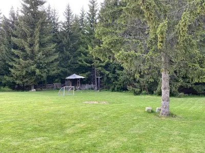 a tree in the middle of a field with a goal at Stand'Art - апартамент , Смолянски езера in Smolyan