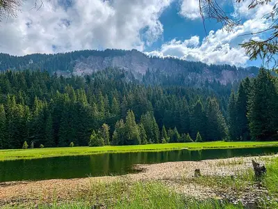 a green field with trees and a mountain in the background at Stand'Art - апартамент , Смолянски езера in Smolyan