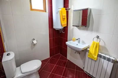 a bathroom with a white toilet and a sink at Guest House Dinaya in Dobrinishte