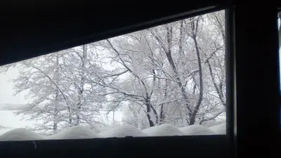 a view of a snow covered tree from a window at Alexander 3327 in Bansko