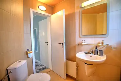 a bathroom with a sink and a toilet and a mirror at Villa Carpe Diem in Pamporovo