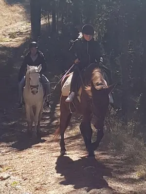 two people riding horses on a dirt trail at Dona Guest House - Horse Riding in Koprivshtitsa