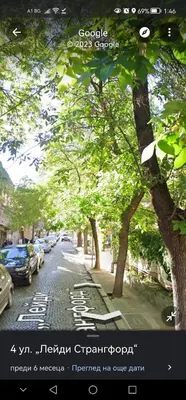 a tree lined street with cars parked on the sidewalk at The hiils 4 Plovdiv in Plovdiv