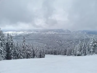 a view of a snow covered mountain with trees at Borovets Hills Apartments - Studio 33 in Borovets