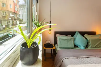 a bedroom with a plant in a pot next to a window at Sofia Downtown Boutique Apartment in Sofia