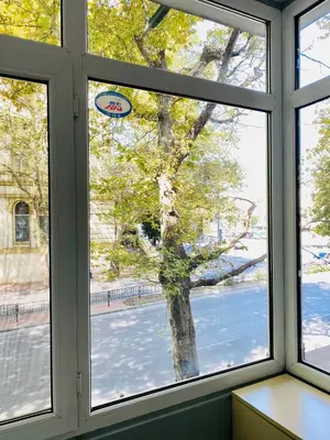 a window with a view of a tree seen through it at City Center 2-bedroom cosy apartment in Plovdiv