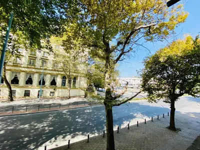 a tree in the middle of a street with a building at City Center 2-bedroom cosy apartment in Plovdiv