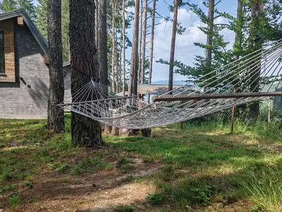 a hammock tied to a tree in front of a house at Вила АМРИТА in Tsigov Chark