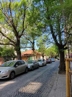 a row of cars parked on a street with trees at Cozy Studio near the Historical Heart of Sofia by Flat Mаnager in Sofia